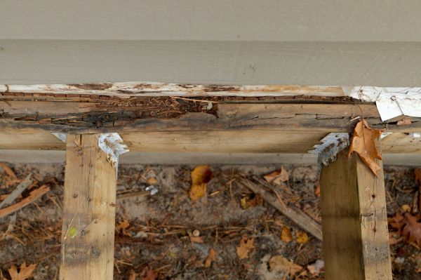 Mobile Wood Rot Repair