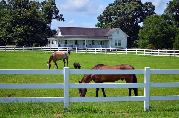 Mobile Fence Service